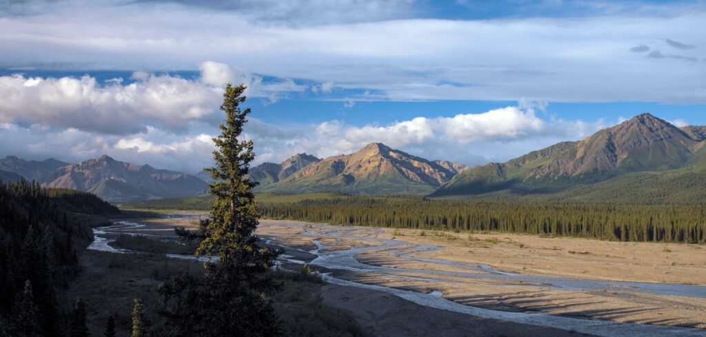 Denali National Park Alaska