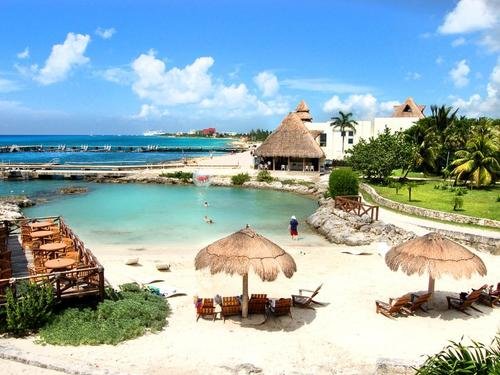Cozumel Diving Reefs Best Time to Visit