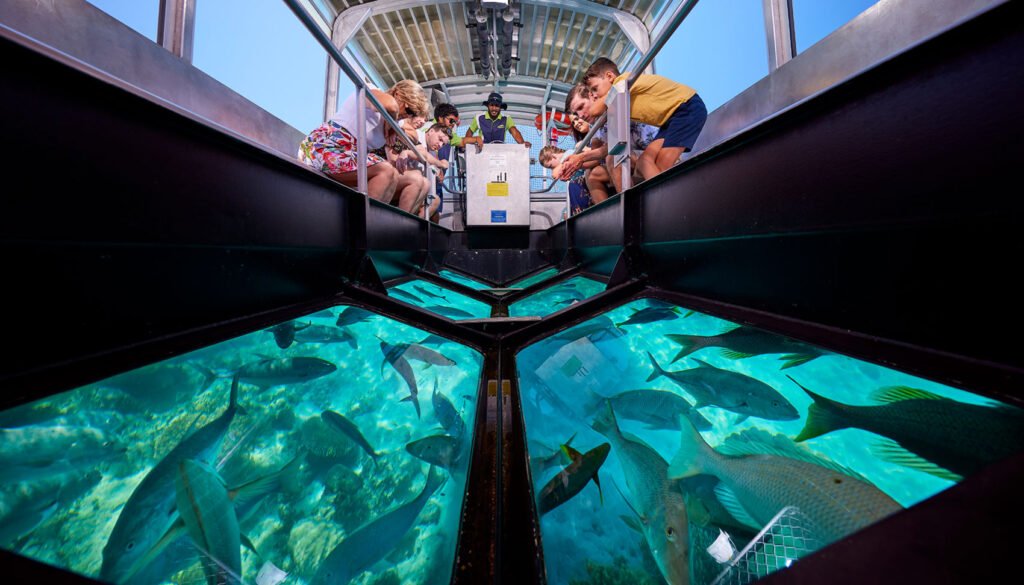 See Beneath the Waves: Your Guide to Cabo San Lucas Glass Bottom Boat Tours