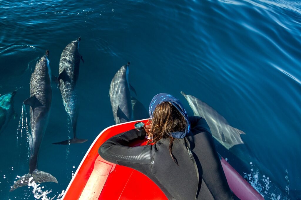 Best tours and excursions in Oaxaca, Mexico