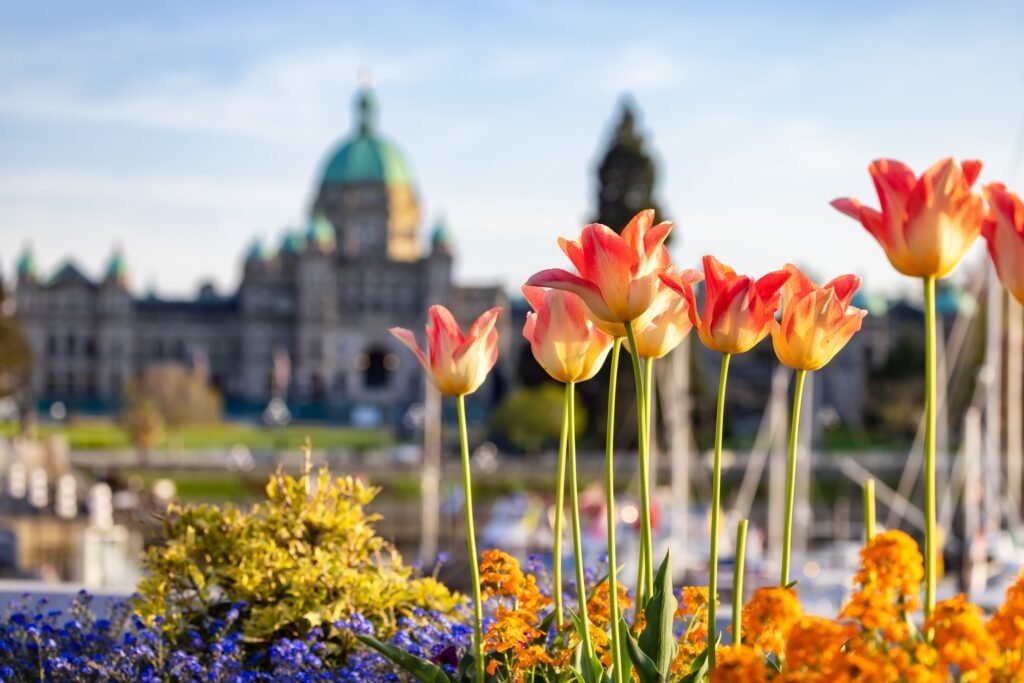 Victoria Day trips