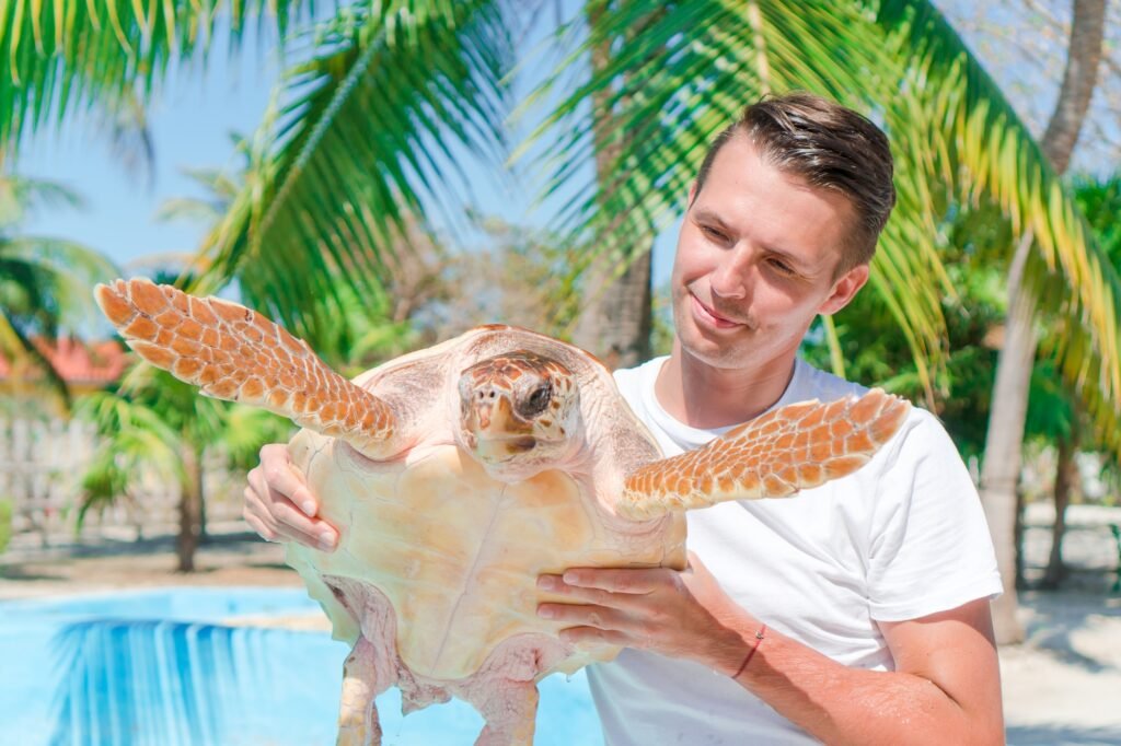 Best tours and excursions in Play del Carmen, Mexico