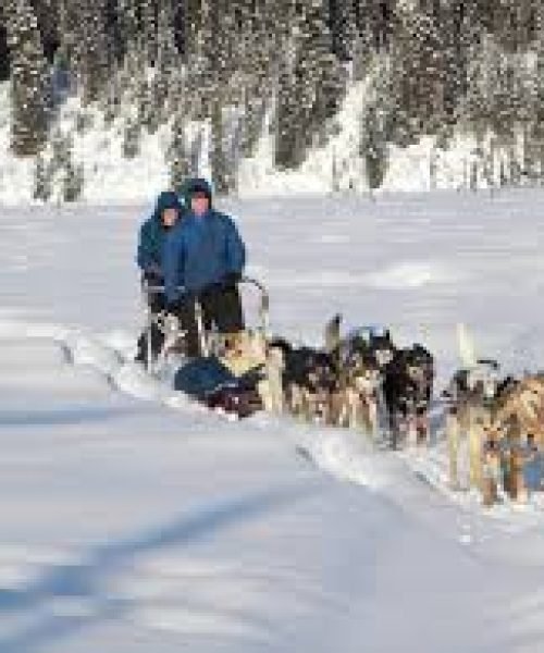 Top Tours in Anchorage - Explore Wild Beauty & Adventure