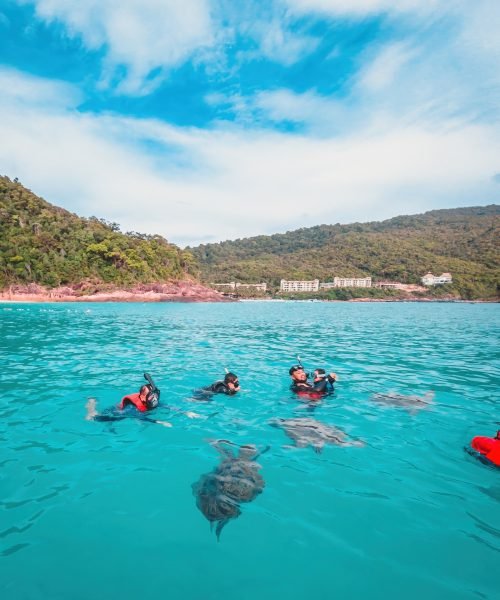 Redang, Malaysia - May 11, 2022: Group of tourists are snorkeling together on a tour.